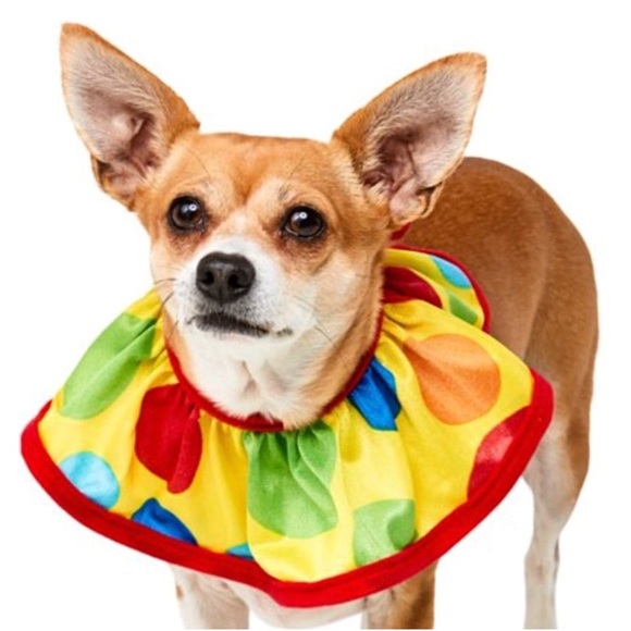 Rubies Pet Shop Boutique Dog Clown Collar & Hat Combo Costume NWT - Picture 7 of 9